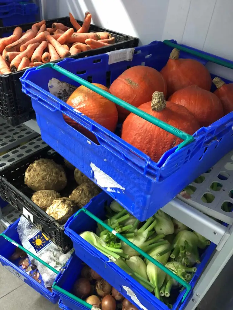 Fruits et légumes frais et bio